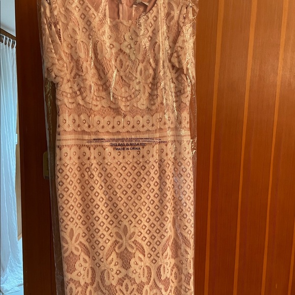 Preston & York dress. Light pink lace overlay sheath dress. - Picture 3 of 4